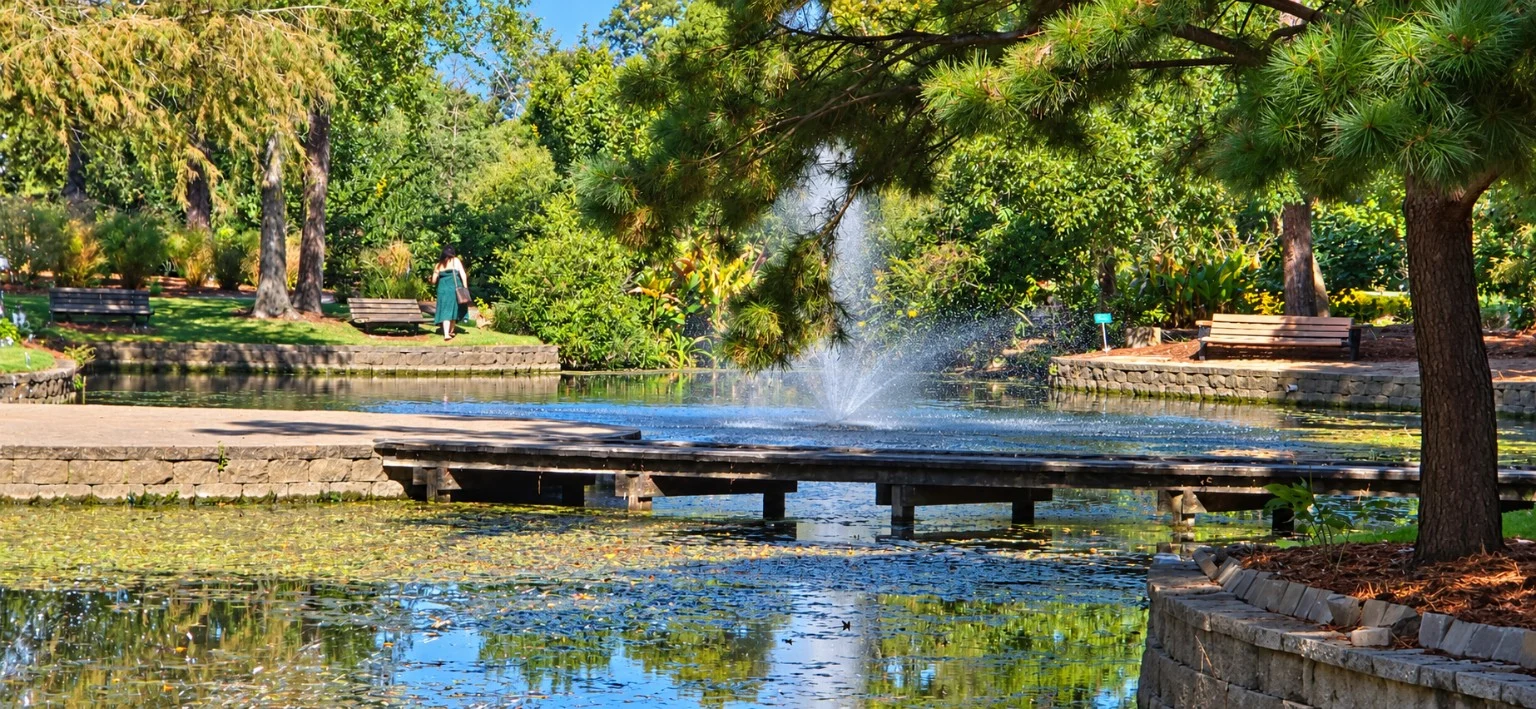 Garden pond fountain and bridge