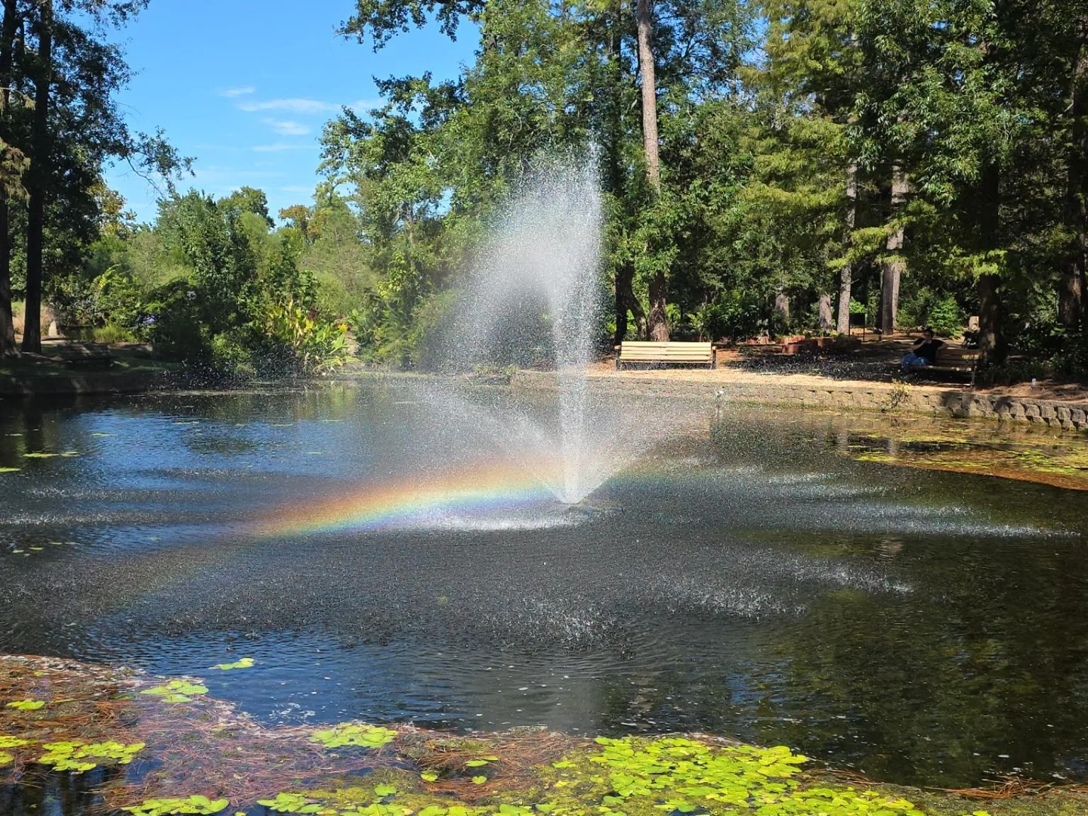 Fountain spray over a pond with a small rainbow