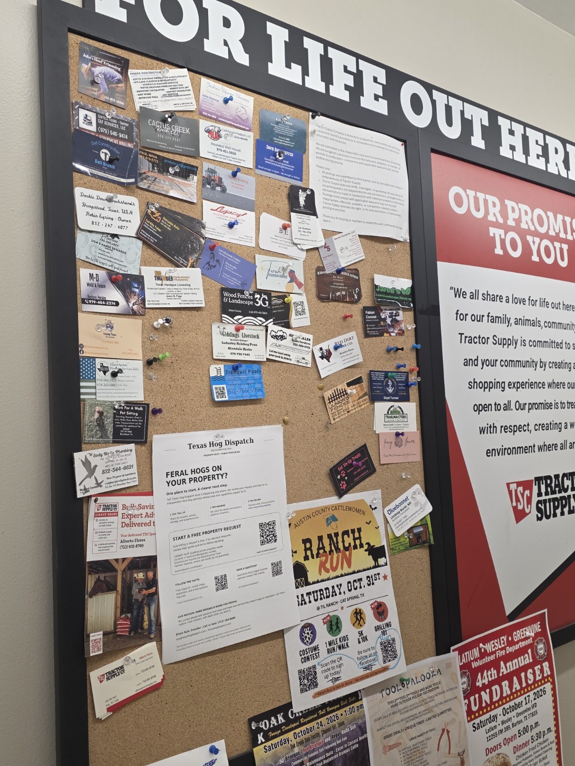 Texas Hog Dispatch resource sheet posted among local notices on a Tractor Supply community bulletin board