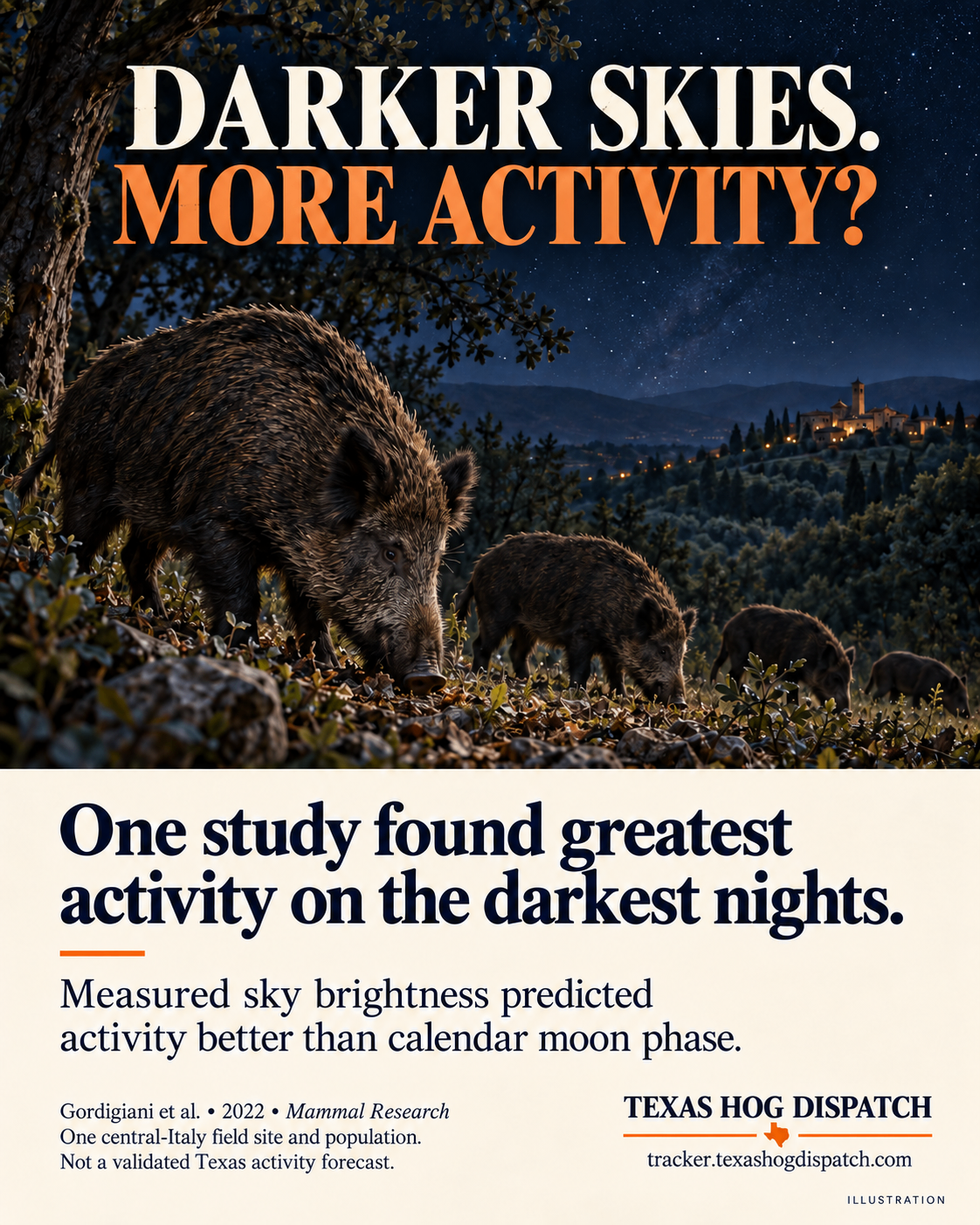 Illustrated wild boars under a dark night sky with the finding that one central-Italy study observed greatest activity on the darkest nights.