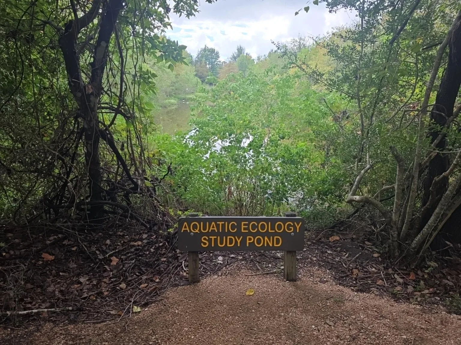 Aquatic Ecology Study Pond sign beside a pond