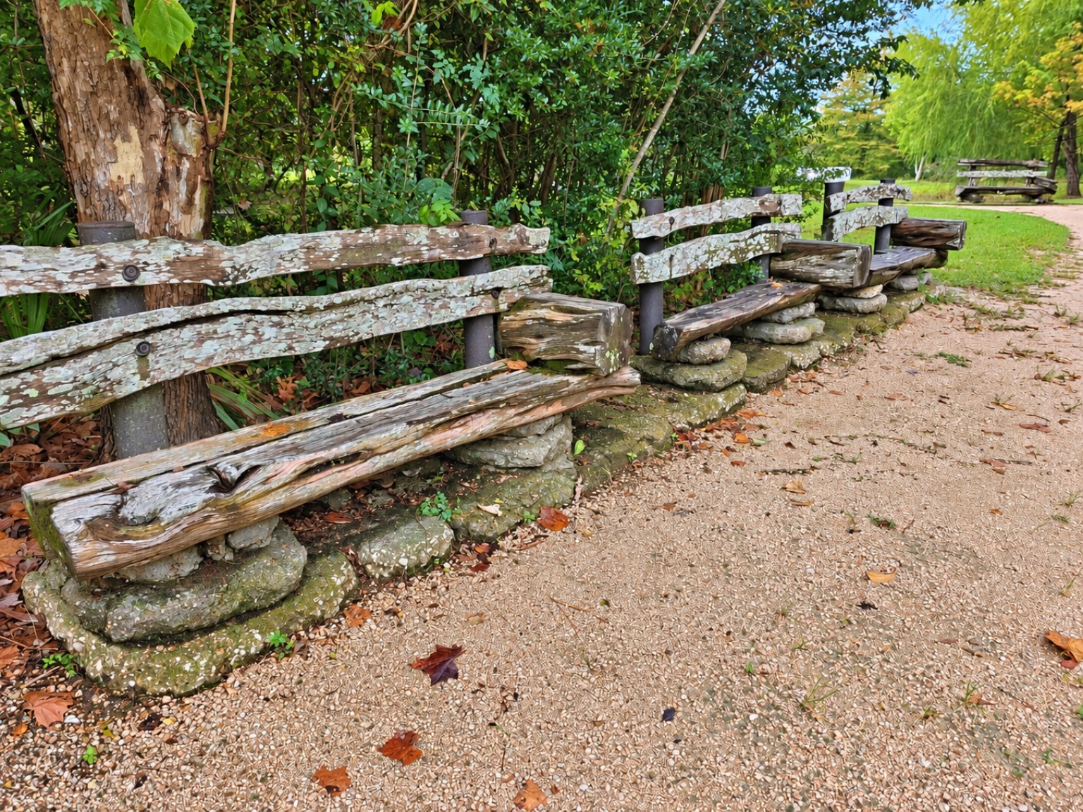 Weathered wooden benches along a leafy path at Sheldon Lake