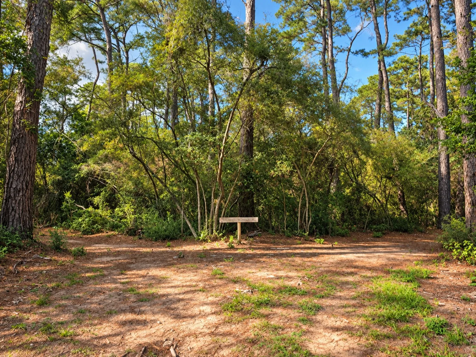 Small wooden marker at a trail junction