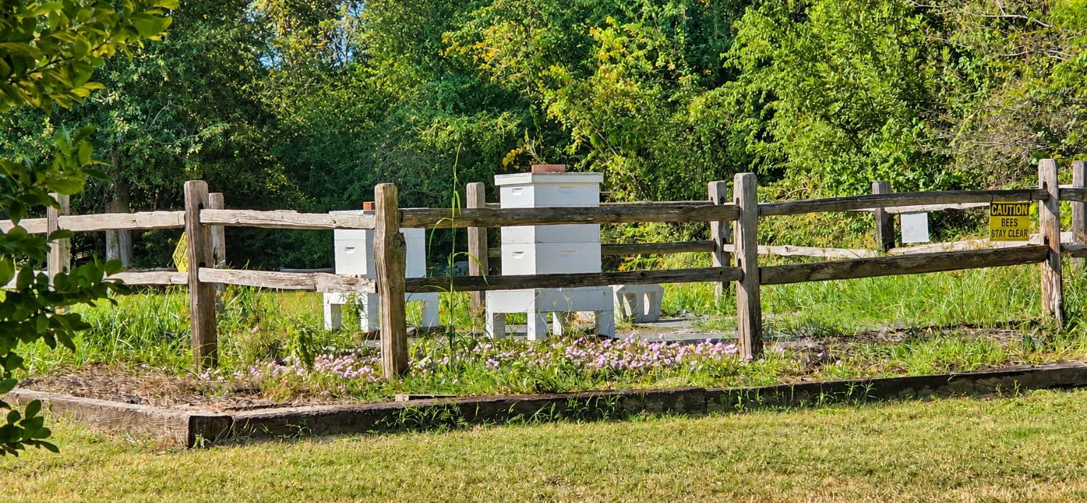 Beehives behind a wooden fence with a bee warning sign
