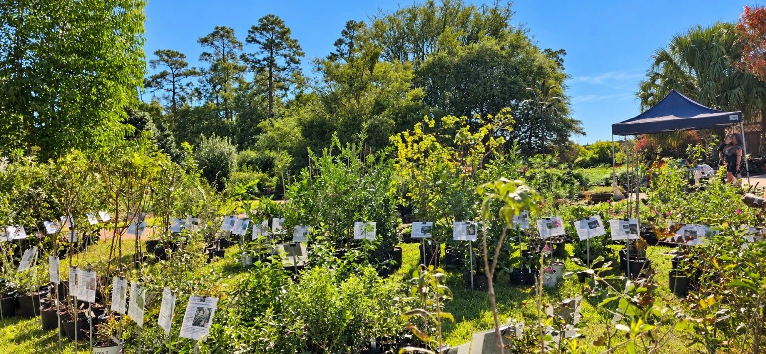 Labeled plants and a blue canopy