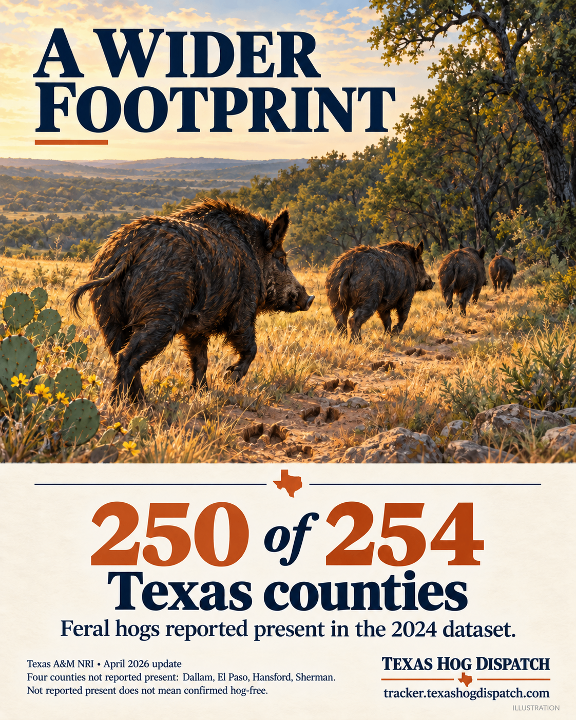 Illustrated wild hogs crossing Texas brush country with the headline A Wider Footprint and 250 of 254 Texas counties reported present.