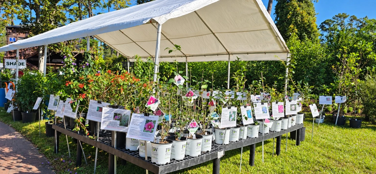 Plants under a white shade canopy